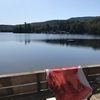 efl2911